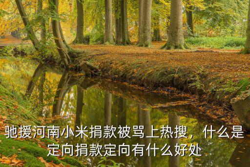 京東捐款多少馳援河南,馳援河南小米捐款被罵上熱搜