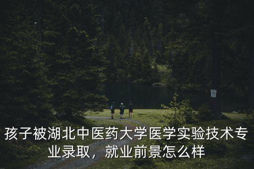 孩子被湖北中醫(yī)藥大學(xué)醫(yī)學(xué)實(shí)驗(yàn)技術(shù)專業(yè)錄取，就業(yè)前景怎么樣