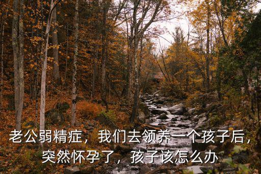 老公弱精癥，我們?nèi)ヮI養(yǎng)一個孩子后，突然懷孕了，孩子該怎么辦