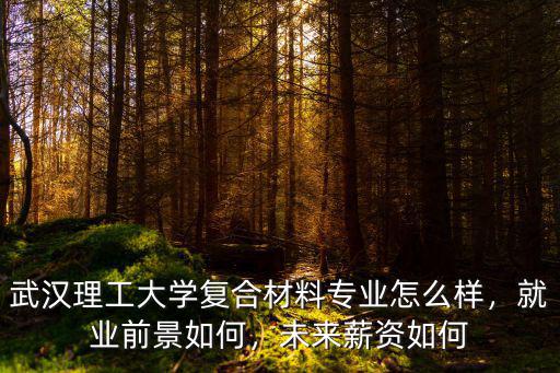 武漢理工大學復合材料專業怎么樣，就業前景如何，未來薪資如何
