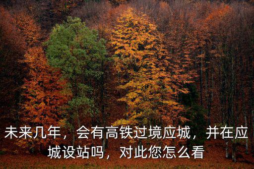 未來幾年，會有高鐵過境應城，并在應城設站嗎，對此您怎么看