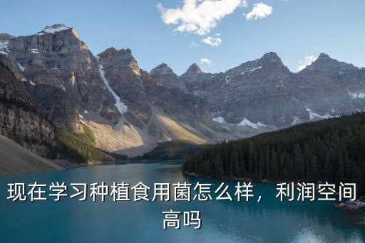湖北栽培食用菌怎么樣,現(xiàn)在學(xué)習(xí)種植食用菌怎么樣