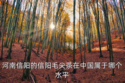 河南信陽的信陽毛尖茶在中國屬于哪個水平