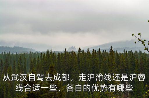 從武漢自駕去成都，走滬渝線還是滬蓉線合適一些，各自的優勢有哪些