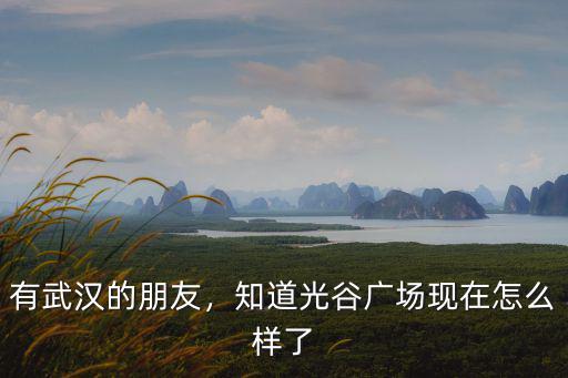 有武漢的朋友，知道光谷廣場現在怎么樣了