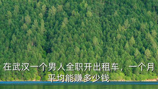在武漢買(mǎi)輛出租車(chē)請(qǐng)人開(kāi)怎么樣,在武漢一個(gè)男人全職開(kāi)出租車(chē)