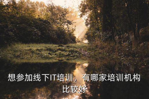 想?yún)⒓泳€下IT培訓(xùn)，有哪家培訓(xùn)機(jī)構(gòu)比較好