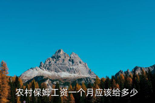農村保姆工資一個月應該給多少
