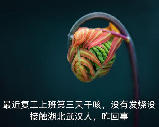 武漢復工沒有帶飯怎么辦,在武漢還沒有復工的人
