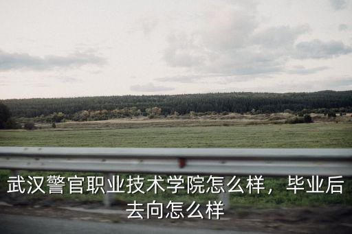 武漢公安局技術民警怎么樣,武漢警官職業技術學院怎么樣