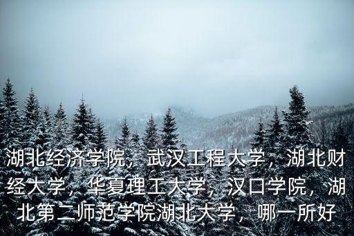 湖北經濟學院，武漢工程大學，湖北財經大學，華夏理工大學，漢口學院，湖北第二師范學院湖北大學，哪一所好