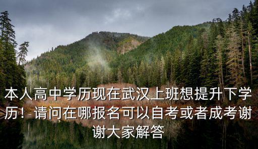 本人高中學歷現在武漢上班想提升下學歷！請問在哪報名可以自考或者成考謝謝大家解答