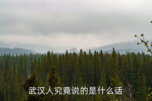 武漢人究竟說的是什么話