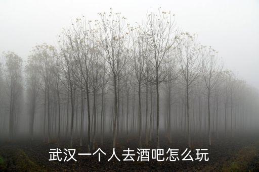 武漢一個人去酒吧怎么玩