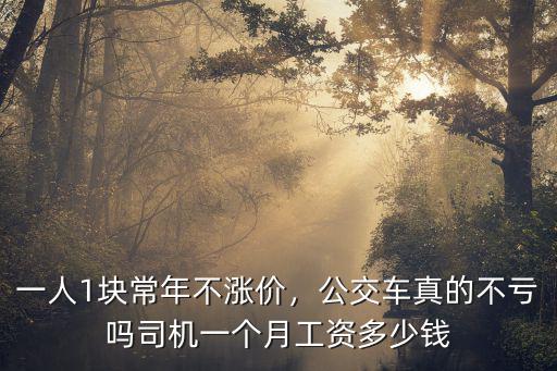 一人1塊常年不漲價(jià)，公交車真的不虧嗎司機(jī)一個(gè)月工資多少錢