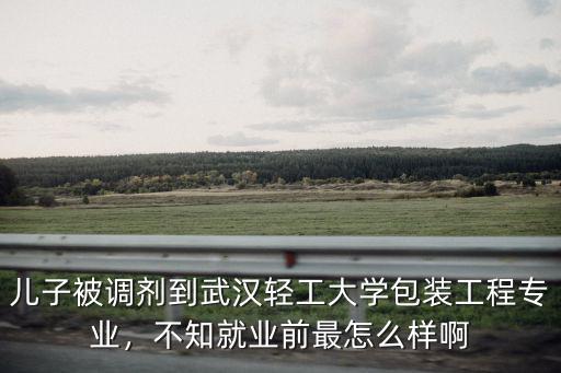 兒子被調劑到武漢輕工大學包裝工程專業，不知就業前最怎么樣啊