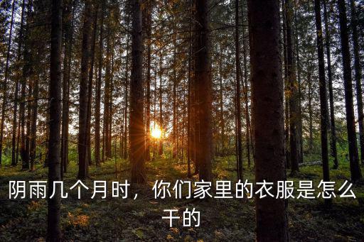 陰雨幾個月時，你們家里的衣服是怎么干的