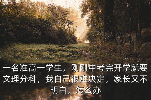 武漢文理不分科高考怎么算分,請問一下高考文理不分科