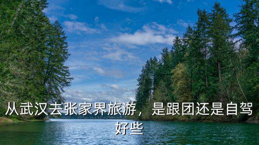 從武漢去張家界旅游，是跟團還是自駕好些