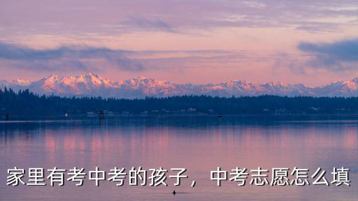 荊州區中考填志愿怎么填,中考志愿怎么填