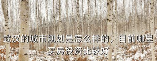 武漢的城市規劃是怎么樣的，目前哪里買房投資比較好