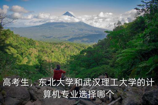 武漢和沈陽哪個更好怎么選,武漢和沈陽比