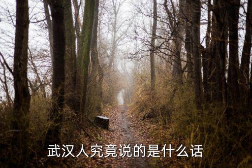 武漢話痛快怎么說,不會說武漢話