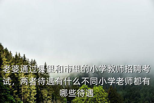 老婆通過縣里和市里的小學教師招聘考試，兩者待遇有什么不同小學老師都有哪些待遇