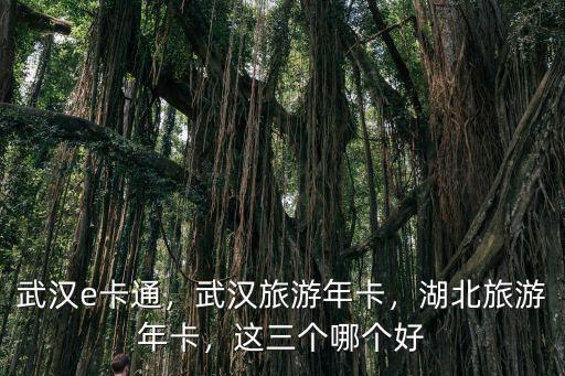 武漢e卡通，武漢旅游年卡，湖北旅游年卡，這三個哪個好