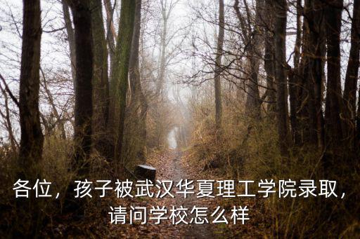 武漢華昌理工學院環境怎么樣,武漢華夏理工大學怎么樣