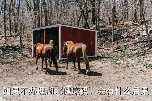 湖北健康碼漏簽了怎么辦,湖北健康碼打卡為什么取消了