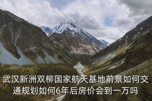 武漢新洲雙柳國家航天基地前景如何交通規劃如何6年后房價會到一萬嗎