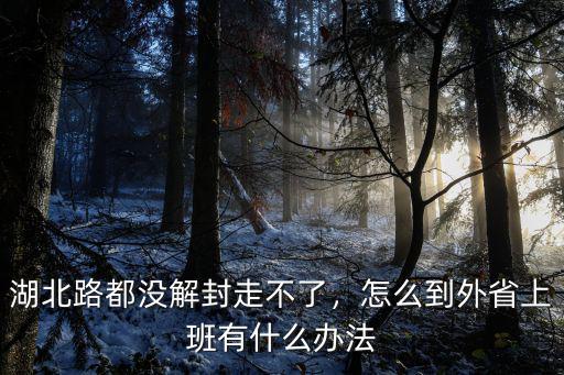 北湖北路到南湖路12號線怎么走,湖北路都沒解封走不了