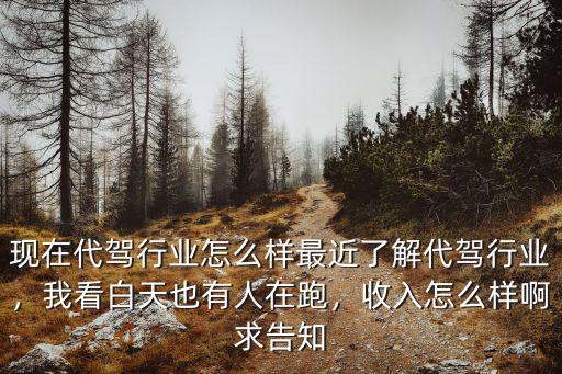 現在代駕行業怎么樣最近了解代駕行業，我看白天也有人在跑，收入怎么樣啊求告知