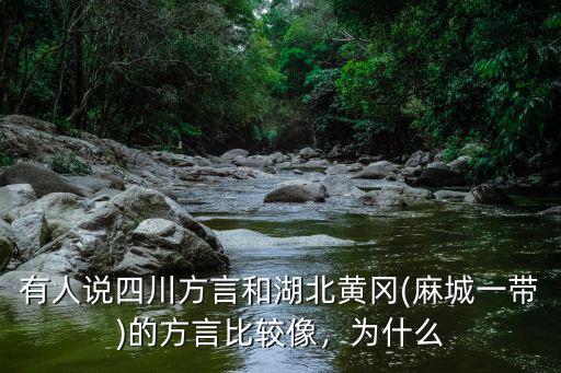 黃岡方言兒子怎么說,有人說四川方言和湖北黃岡