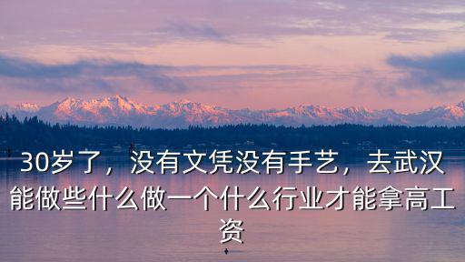 30歲了，沒有文憑沒有手藝，去武漢能做些什么做一個什么行業才能拿高工資