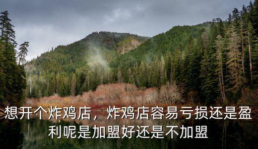 想開個(gè)炸雞店，炸雞店容易虧損還是盈利呢是加盟好還是不加盟