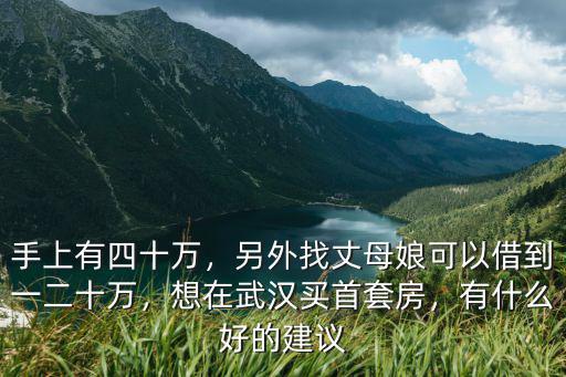 手上有四十萬，另外找丈母娘可以借到一二十萬，想在武漢買首套房，有什么好的建議