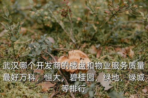 武漢哪個開發商的樓盤和物業服務質量最好萬科，恒大，碧桂園，綠地，綠城等排行