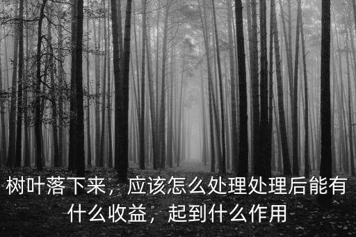 樹葉落下來，應該怎么處理處理后能有什么收益，起到什么作用
