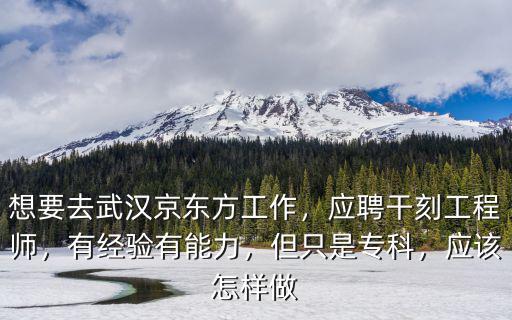 想要去武漢京東方工作，應聘干刻工程師，有經驗有能力，但只是專科，應該怎樣做