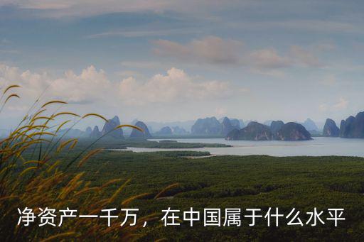 凈資產一千萬，在中國屬于什么水平