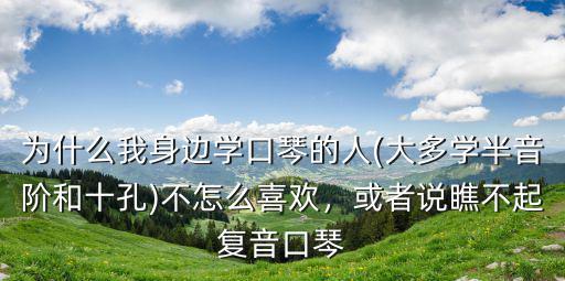 湖北實用半音階口琴怎么選,500的半音階口琴推薦