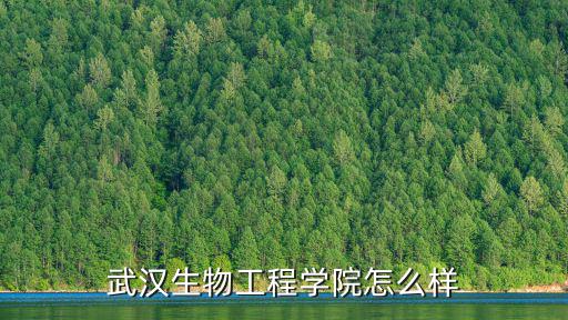 武漢楚風苑教育怎么樣,在武漢生活怎么樣