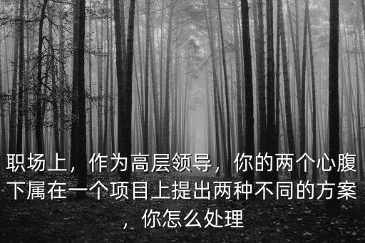職場上，作為高層領(lǐng)導(dǎo)，你的兩個心腹下屬在一個項目上提出兩種不同的方案，你怎么處理