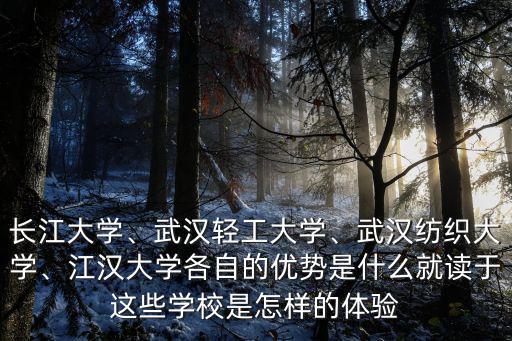武漢紡織大學傳媒學院怎么樣,武漢紡織大學