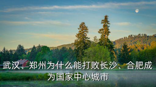 武漢、鄭州為什么能打敗長沙、合肥成為國家中心城市