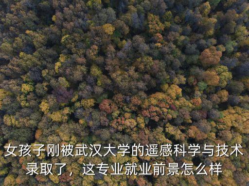 女孩子剛被武漢大學的遙感科學與技術(shù)錄取了，這專業(yè)就業(yè)前景怎么樣