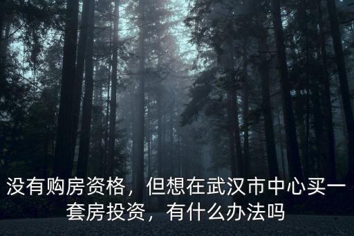沒有購房資格，但想在武漢市中心買一套房投資，有什么辦法嗎