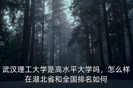 武漢理工大學是高水平大學嗎，怎么樣在湖北省和全國排名如何